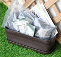 種菜小學堂栽種組合商品圖片 7