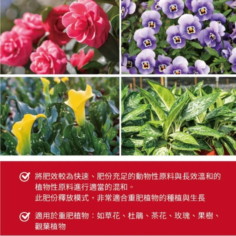 肥師傅有機質肥料700公克『重肥植物配方』 商品圖片 3