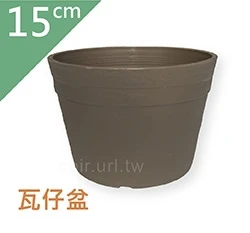 15cm仿陶素燒盆(瓦仔盆)~5S 高10.5cm 商品圖片 6