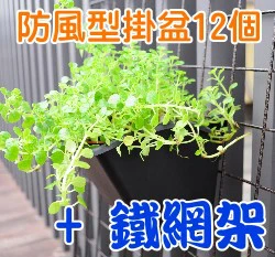 花牆網組合(防風型單掛盆x12個+萬用鐵網架x1個+椰纖片12片) 商品圖片 5