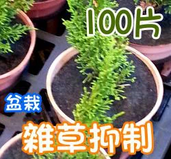 盆栽用雜草抑制蓆(不織布防草蓋)-12cm 雞母蟲 盆栽蓋 4寸 商品圖片 4