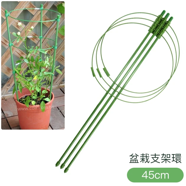 盆栽支架環-高45cm(三環) 園藝支架 爬藤架 花架 商品圖片 2