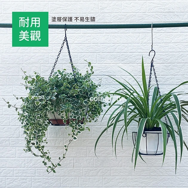 鐵藝吊籃花架-附吊鏈 盆栽吊架 商品圖片 2