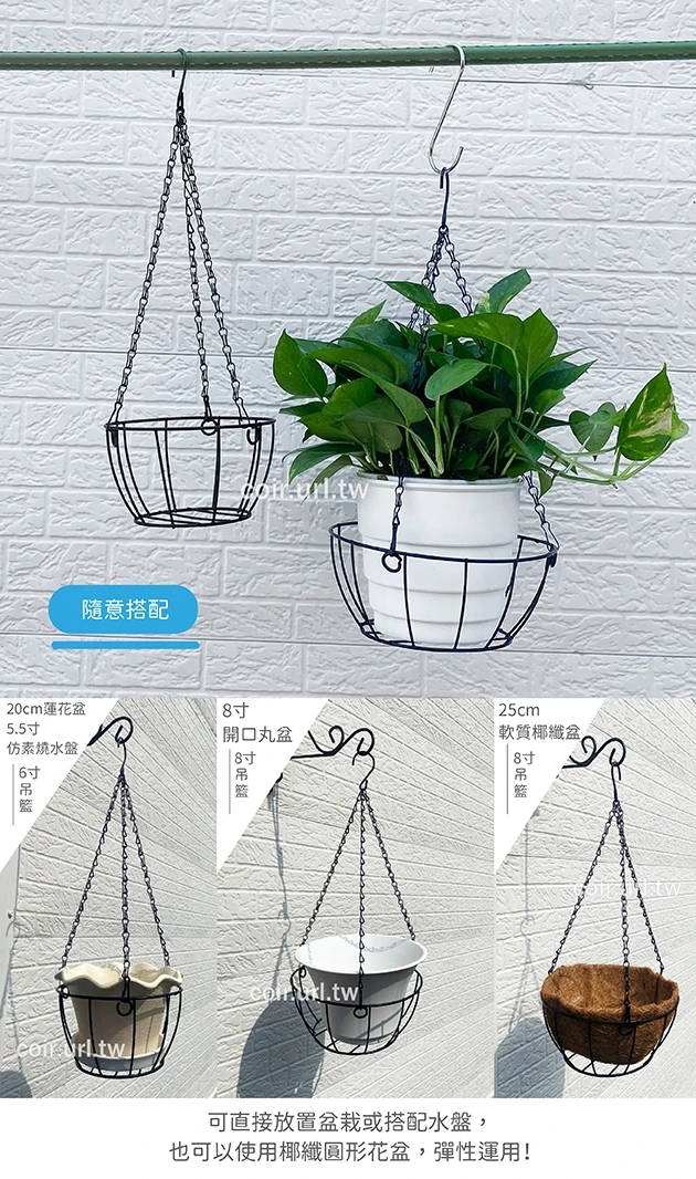 鐵藝吊籃花架-附吊鏈 盆栽吊架 商品圖片 4