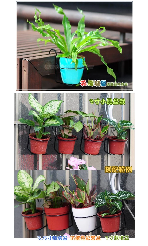 3寸單盆用掛架 花盆架 3寸盆花架 商品圖片 3