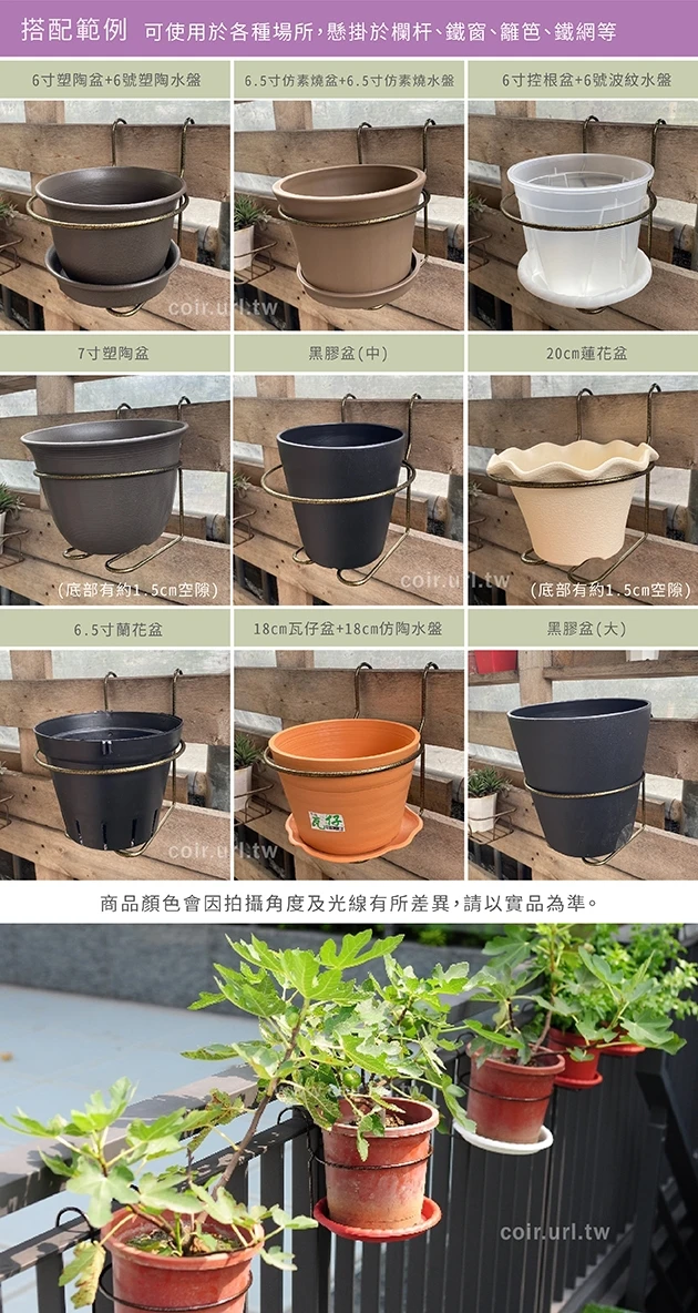 18cm單盆用掛架 盆栽花架花盆架 適6~7寸盆 商品圖片 5