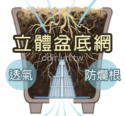 立體盆底網（ 5入/包）花盆底部錐形墊片透水透氣防爛根.水耕籃 商品圖片 2