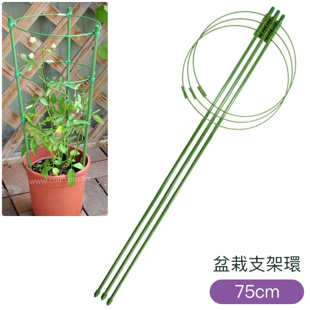 盆栽支架環-高75cm(三環) 月季花架 商品圖片 2
