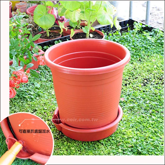 1尺(30cm)圓型自動澆水花盆-附儲水盤 高29cm 商品圖片 5