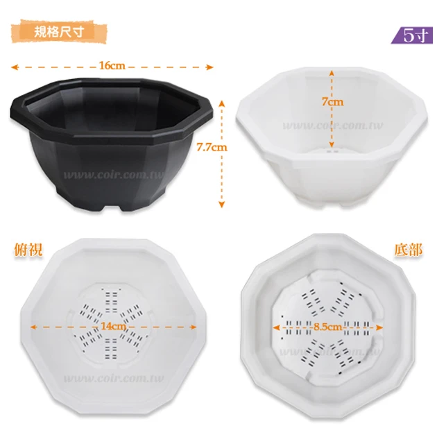 12角花盆5寸(16cm)藏龍園5號 高7.7cm 商品圖片 2