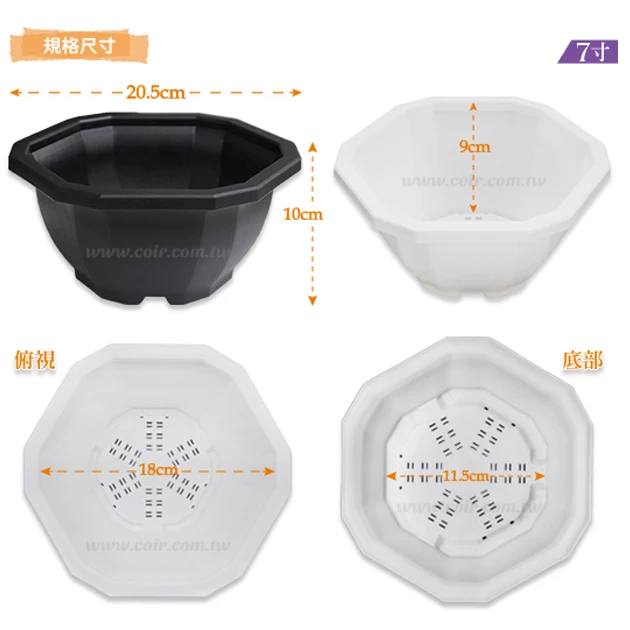 12角花盆7寸(21cm)藏龍園6號 高10cm 商品圖片 2