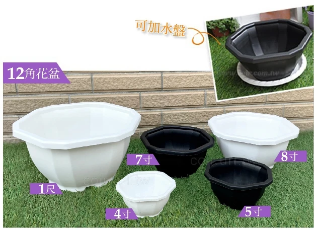 12角花盆7寸(21cm)藏龍園6號 高10cm 商品圖片 3
