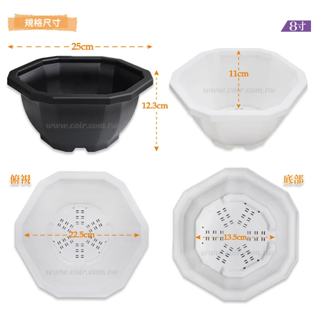 12角花盆8寸(25.5cm)藏龍園7號 高12.3cm 商品圖片 2