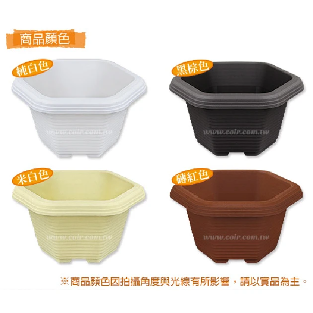六角淺盆(9.6cm)小 高5cm 商品圖片 2