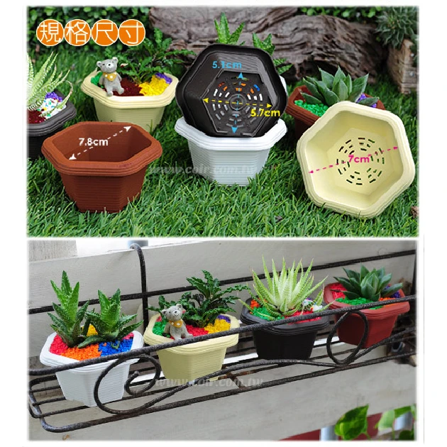 六角淺盆(9.6cm)小 高5cm 商品圖片 3