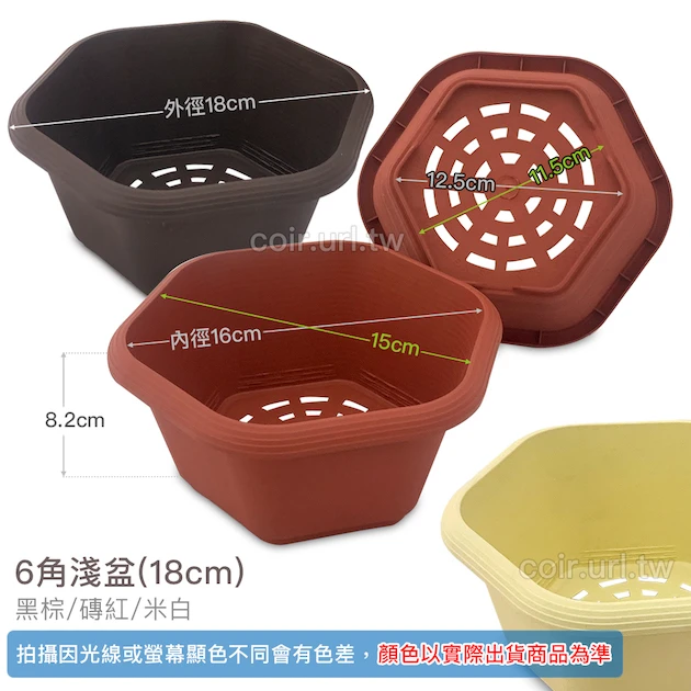 六角淺盆(18cm) 高8.2cm 商品圖片 2