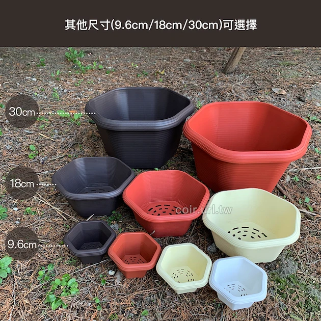 六角淺盆(18cm) 高8.2cm 商品圖片 4
