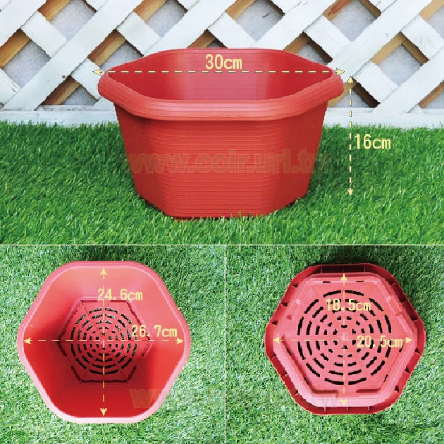六角淺盆1尺(30cm) 高16cm 商品圖片 2