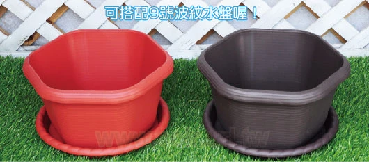 六角淺盆1尺(30cm) 高16cm 商品圖片 4