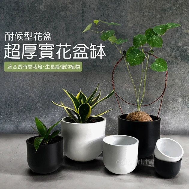 超厚實花盆缽 仿陶盆 商品圖片 3