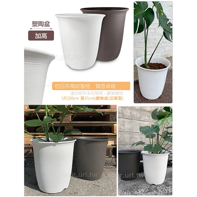 1尺(30cm 高31cm)塑陶盆(加高型) 商品圖片 2