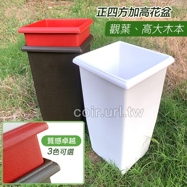 32cm正四方加高花盆 高60cm 商品圖片 5