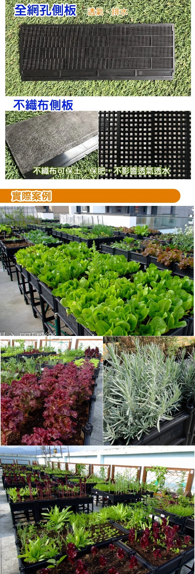 【栽培箱】組合式有機種植箱(單層雙連通)D02A/SD 商品圖片 4
