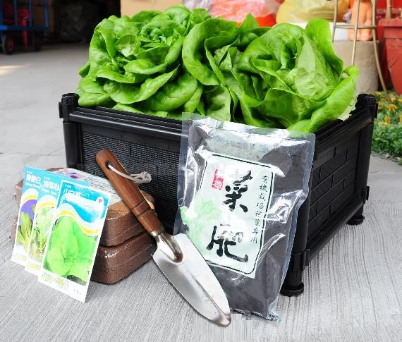 蔬菜栽培組合(D01組合種植箱1個+小椰磚2個+菜肥1包+木柄花鏟(大)8.5cm) 商品圖片 2