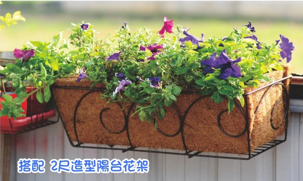 陽台花架專用2尺椰纖花槽(不含花架)/個 商品圖片 4