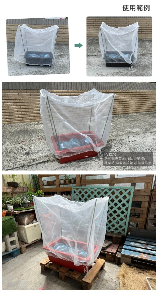 家庭菜園網室全組合(含菜槽.32目白色立體防蟲網.綠竹4支) 商品圖片 5