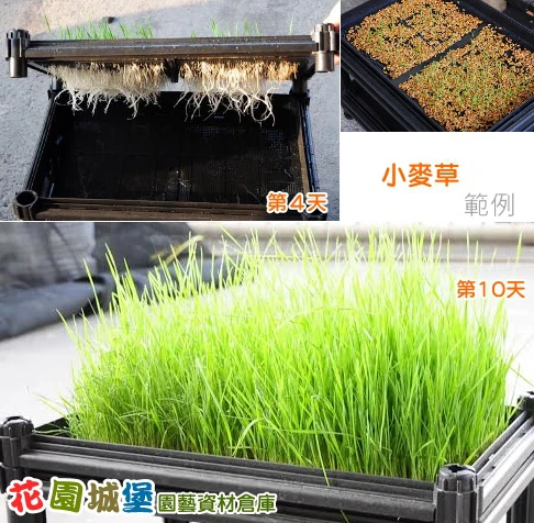 【栽培箱】組合式有機種植箱(芽菜箱、育苗箱) 商品圖片 3