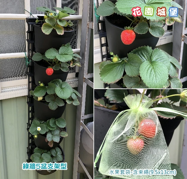 綠牆5盆支架型-大容量豪華型（含不織布、導水管） 商品圖片 5