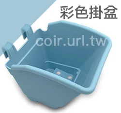 花牆掛盆(植生牆)彩色掛盆 繽紛馬卡龍 商品圖片 6