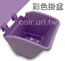 花牆掛盆(植生牆)彩色掛盆 繽紛馬卡龍 商品圖片 9