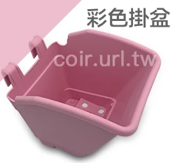 花牆掛盆(植生牆)彩色掛盆 繽紛馬卡龍 商品圖片 10