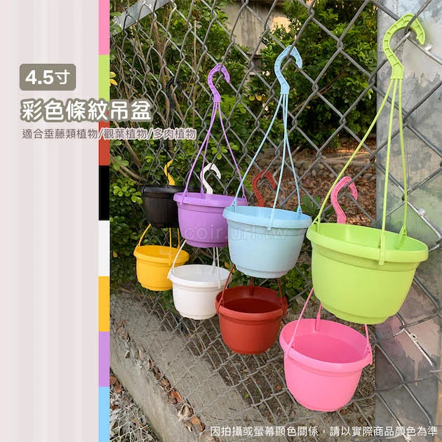 條紋4.5寸吊盆(含吊繩)-粉彩系列 商品圖片 2
