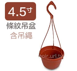 條紋4.5寸吊盆(含吊繩)-粉彩系列 商品圖片 12