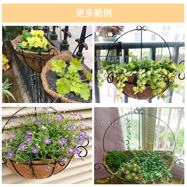 40cm環保椰纖花盆＋壁掛花架(16吋) 商品圖片 4