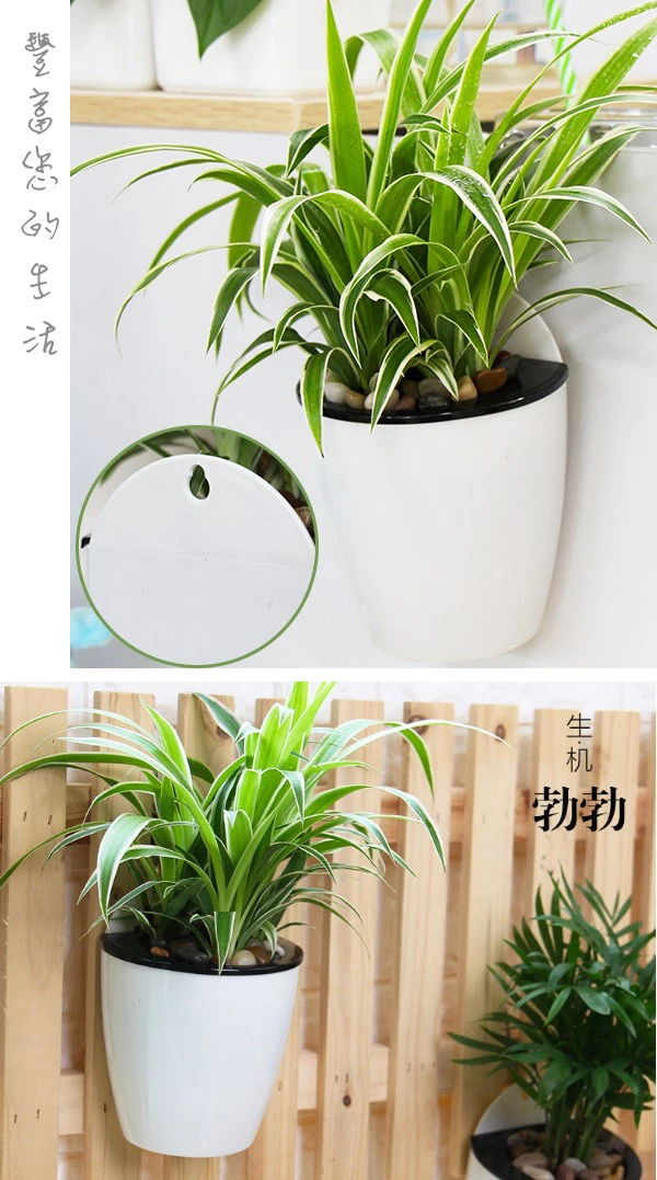 自動澆水壁掛花盆13cm（附棉繩） 商品圖片 3