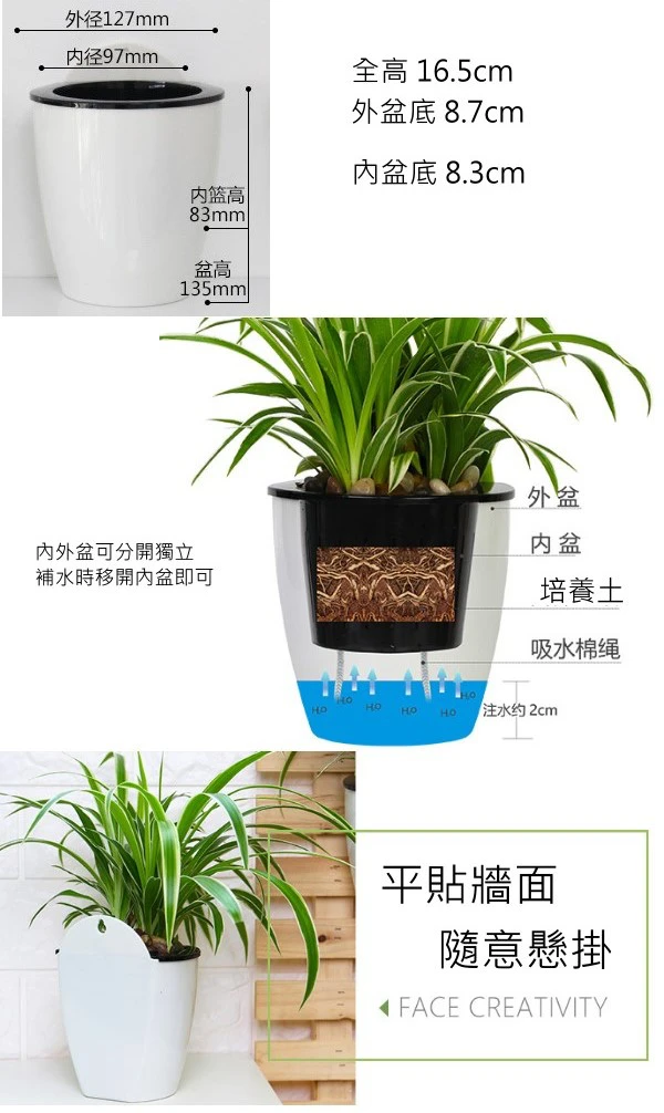 自動澆水壁掛花盆13cm（附棉繩） 商品圖片 4
