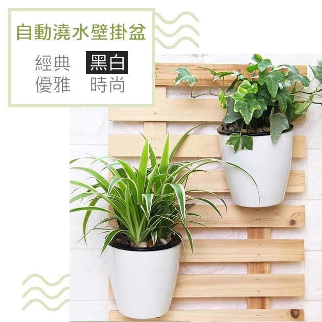 自動澆水壁掛花盆18cm（附棉繩） 商品圖片 2