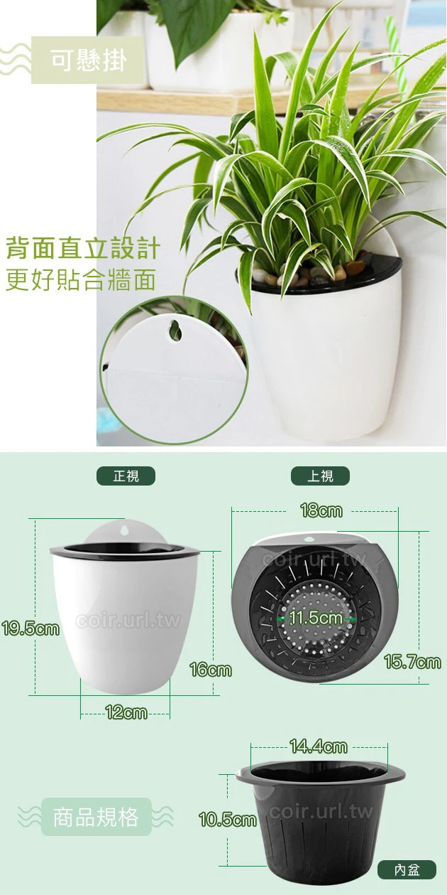 自動澆水壁掛花盆18cm（附棉繩） 商品圖片 5