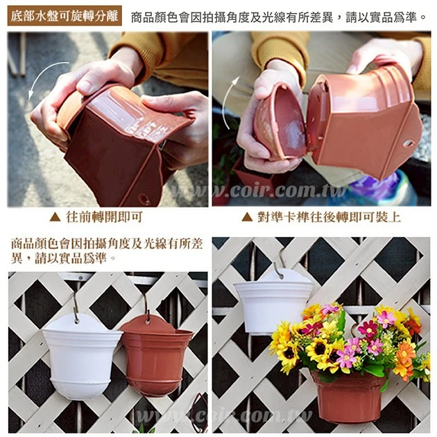 小A掛壁盆 含儲水盒 商品圖片 4