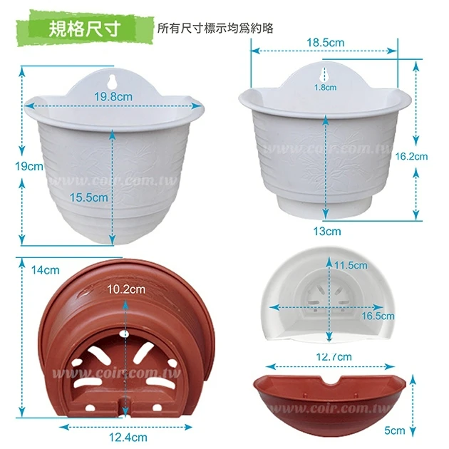 中A掛壁盆20cm 含儲水盒 商品圖片 3