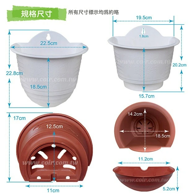 大A掛壁盆22.5cm 含儲水盒 商品圖片 2