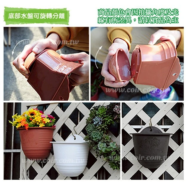 大A掛壁盆22.5cm 含儲水盒 商品圖片 3