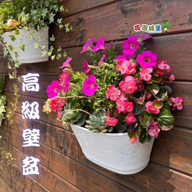 1尺2(37cm)高級壁盆 壁掛花盆 附底網 商品圖片 5