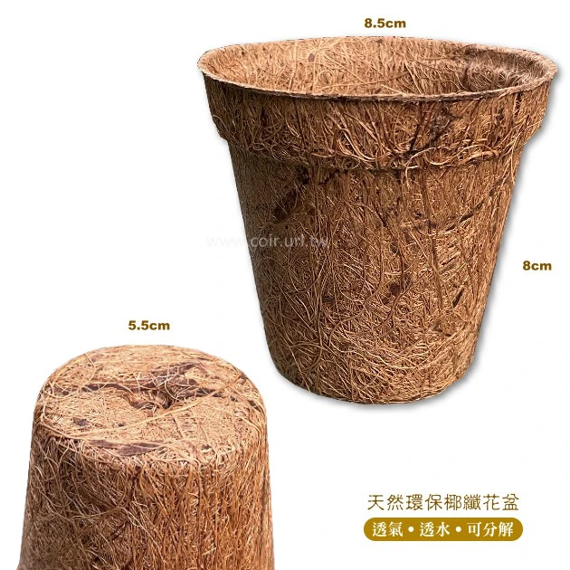 8.5cm環保椰纖花盆 商品圖片 2