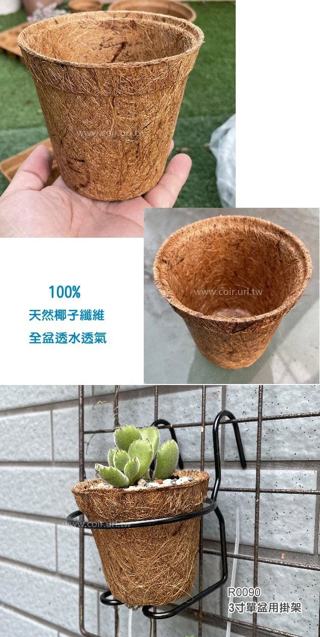 8.5cm環保椰纖花盆 商品圖片 3