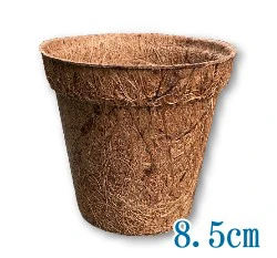 8.5cm環保椰纖花盆 商品圖片 6